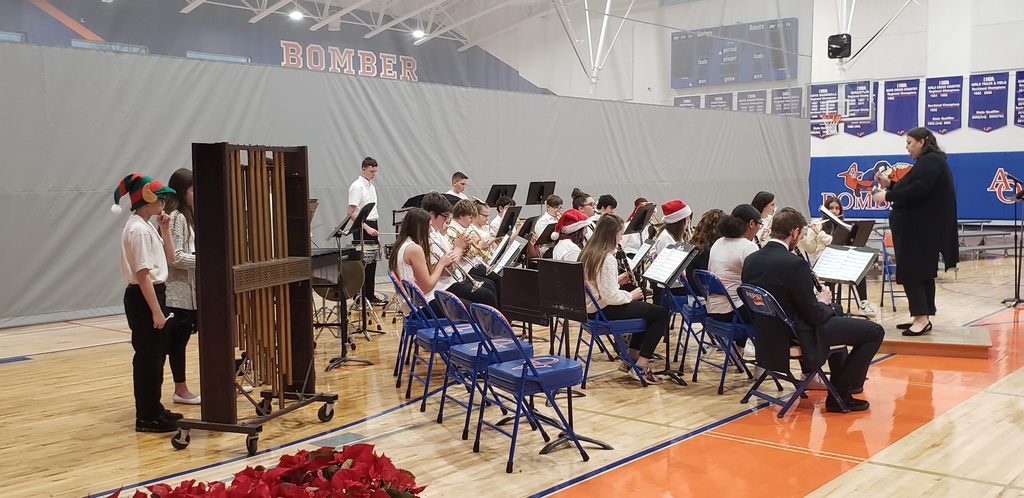 AOMS Holiday Concert 3